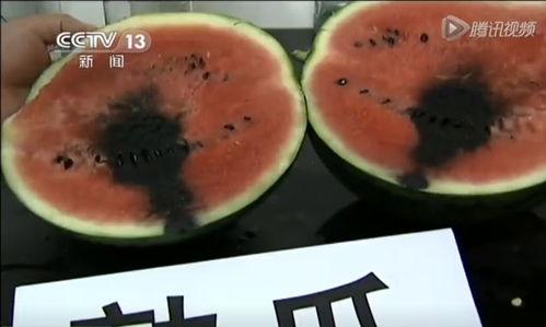 52吃瓜爆料免费吃瓜视频,免费畅享热门吃瓜视频盛宴